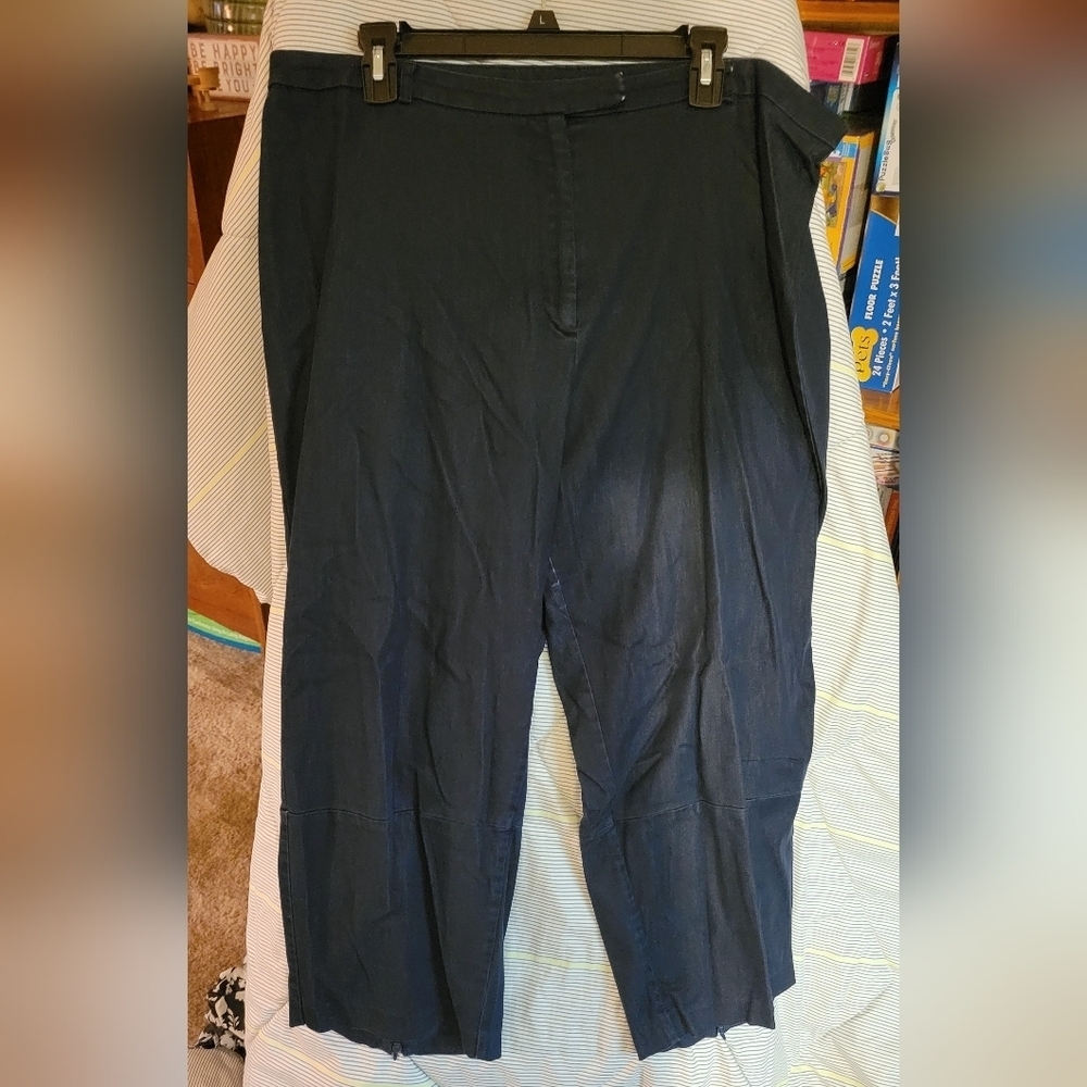Venezia Jeans Clothing Co 20 Trouser Zipper Back of Calf Capri